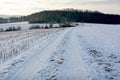 Snow-covered country lane with stubble field in early tomorrow Royalty Free Stock Photo