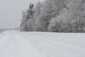 Winter country road near the snowy forest. Royalty Free Stock Photo