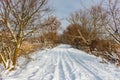 Snow covered country road among trees and bushes in sunny winter day. Rural landscape in winter Royalty Free Stock Photo