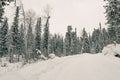 Snow covered country road in forest Royalty Free Stock Photo