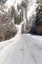 Snow covered country road in forest Royalty Free Stock Photo