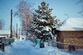 Snow-covered country road. Royalty Free Stock Photo