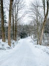 Snow covered country road in winter, York County, Pennsylvania Royalty Free Stock Photo