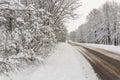 Snow-covered country village road through forest in winter, salt-covered asphalt in winter Royalty Free Stock Photo