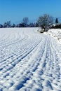 Field covered with snow Royalty Free Stock Photo