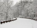 Snow covered curved road lined Royalty Free Stock Photo