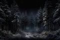 Snow-covered Dark Forest Landscape