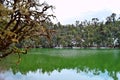 Snow Covered Deoria or Deoriya Tal - Scenic Lake with Lush Green Trees in Himalaya - Trekking near Chopta, Uttarakhand, India