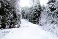 Snow covered dirt road in snowy winter Royalty Free Stock Photo