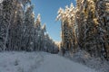 Snow covered dirt road in a winter forest in Sweden Royalty Free Stock Photo