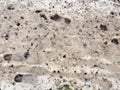 snow covered dirty forest path floor walkway outside texture Royalty Free Stock Photo