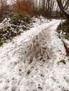 snow covered dirty forest path floor walkway outside texture Royalty Free Stock Photo