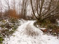 Snow covered dirty forest path floor walkway outside texture Royalty Free Stock Photo