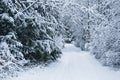 Snow covered driveway