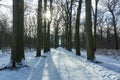 A snow-covered driveway in the De Horsten park in Wassenaar Royalty Free Stock Photo