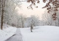 Snow Covered Driveway Royalty Free Stock Photo