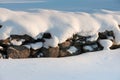 Snow covered dry stone wall Royalty Free Stock Photo