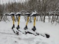 Snow-covered electric scooters on the street