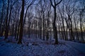 A snow covered evening at rib mountain state park in Wausau Wisconsin at sunset Royalty Free Stock Photo