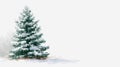 Snow-covered evergreen tree in a winter landscape Royalty Free Stock Photo