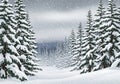 Snow-covered evergreen trees in a dense forest during a snowfall. Royalty Free Stock Photo