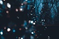 Snow covered evergreen trees at night with defocused illuminated Christmas tree in the foreground. Royalty Free Stock Photo