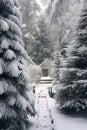 snow-covered evergreens on a peaceful winters day Royalty Free Stock Photo