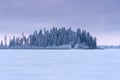 Snow Covered Evergreens at sunrise, Elk Island National Park, Canada Royalty Free Stock Photo