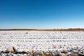 Snow covered farm field. Snow fell on agricultural field. Late autumn Royalty Free Stock Photo