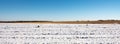 Snow covered farm field. Snow fell on agricultural field. Late autumn Royalty Free Stock Photo