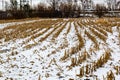 Snow covered farmland with rows of corn stumps, snow covered landscape Royalty Free Stock Photo