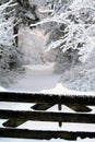 Snow covered fence and a forest path Royalty Free Stock Photo