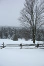 Snow covered fence and trees Royalty Free Stock Photo