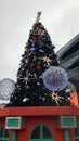 Snow-covered festive in Christmas tree