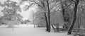 Snow Covered Field