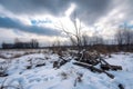 snow-covered field with broken tree branches and clouds in the sky