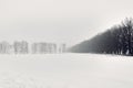 A snow-covered field is crossed by rows of trees, morning fog covered the sky and earth Royalty Free Stock Photo