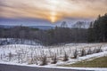 Winter scene at the vineyard Royalty Free Stock Photo