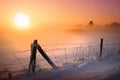 Snow covered field in sunset