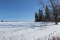 A snow covered field with tracks visible surrounded by bare trees with a small barn visible on a clear sunny winter day Royalty Free Stock Photo