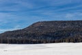Snow covered field with tree covered mountian range on clear day Royalty Free Stock Photo