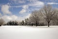 Snow covered field trees and clouds Royalty Free Stock Photo