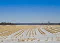 Snow covered field in winter Royalty Free Stock Photo