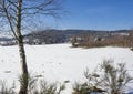 Snow covered field in winter forest with tall birch tree, rural village landscape, sunny day