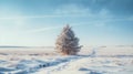 Snow covered fir trees alone in the middle of winter landscape without people and other trees. Royalty Free Stock Photo