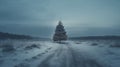 Snow covered fir trees alone in the middle of winter landscape without people and other trees. Royalty Free Stock Photo
