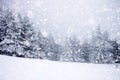 snow covered fir trees in heavy snowfall - Christmas background Royalty Free Stock Photo