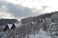 Snow covered fir trees, winter background with copy space