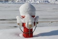 Snow covered fire hydrant Royalty Free Stock Photo