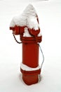 Snow covered fire hydrant Royalty Free Stock Photo